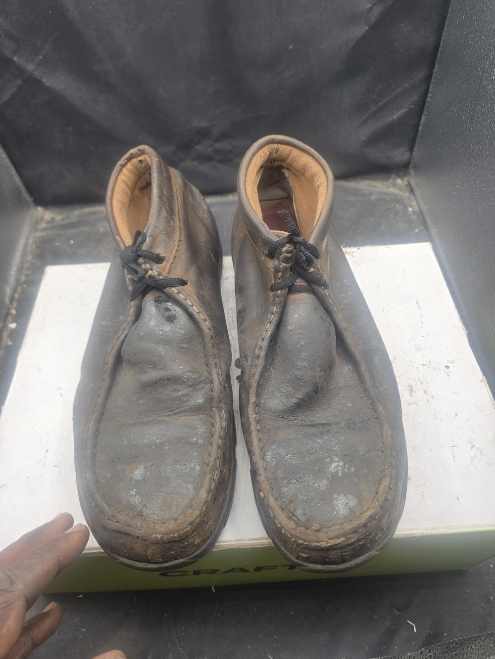 Twisted X Men's Dark Brown Chukka Boots